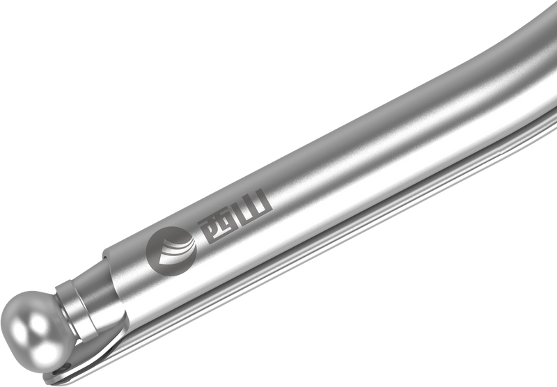 Bur nasal