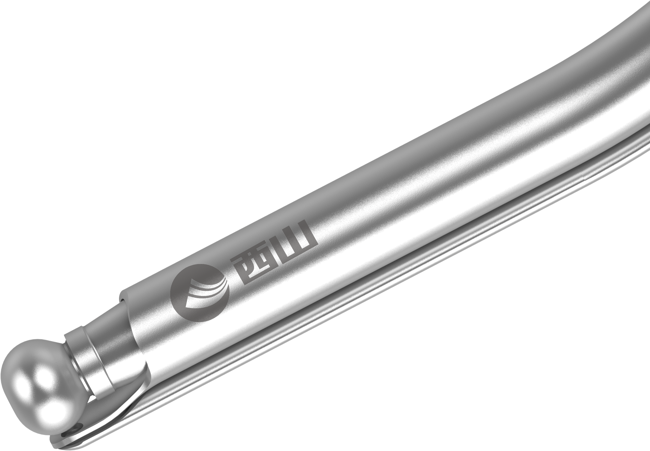 Bur nasal