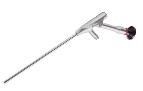 Endoscope transforaminal
