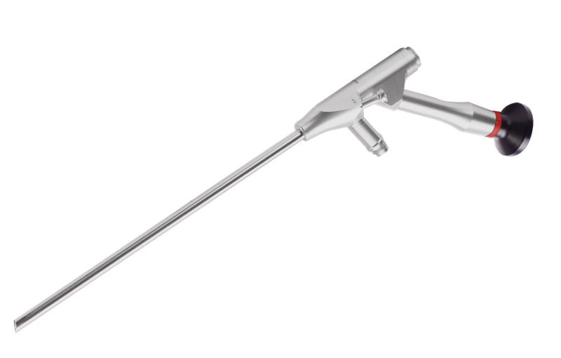 Endoscope transforaminal