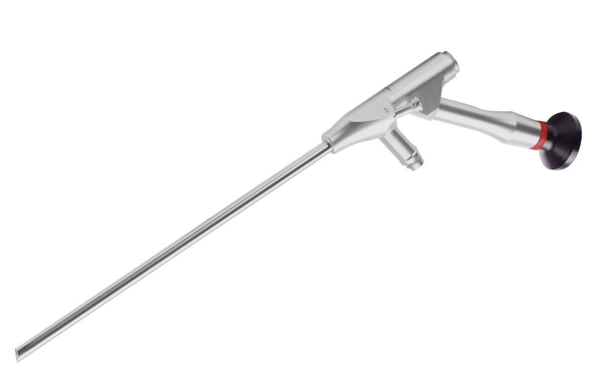 Endoscope transforaminal