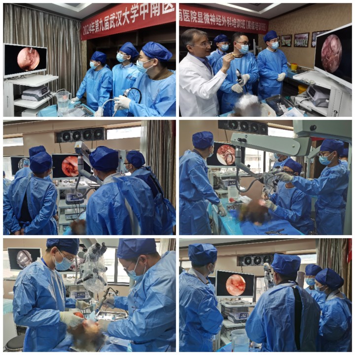 学员实操 （带白框 带白框